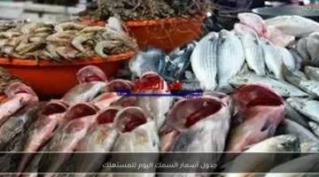 تغيرات الأسعار.. قائمة تكلفة الأسماك في سوق العبور للمستهلك تعاملات الاثنين